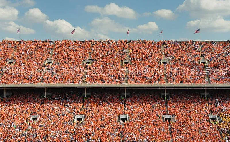 非凡游戏官方网址入口赛富乐斯全球视野下的中国体育盛事：一场多元文化的碰撞与融合