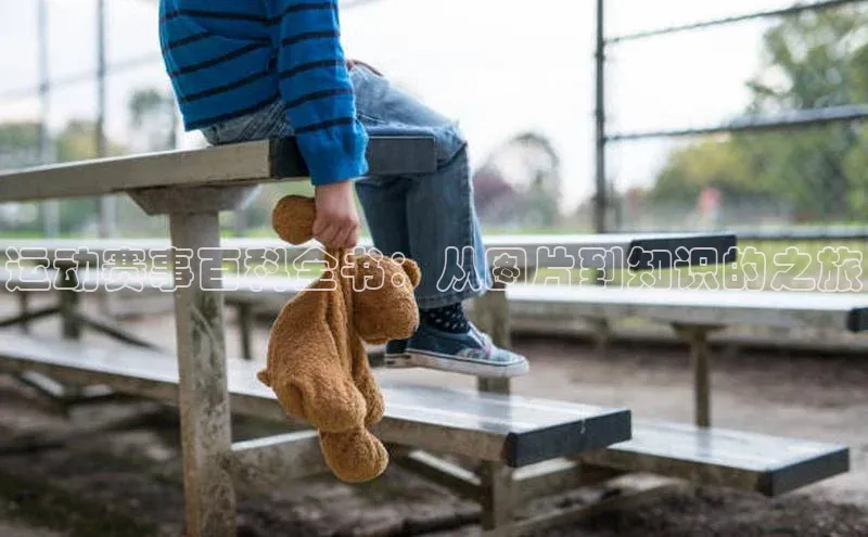 运动赛事百科全书：从图片到知识的之旅