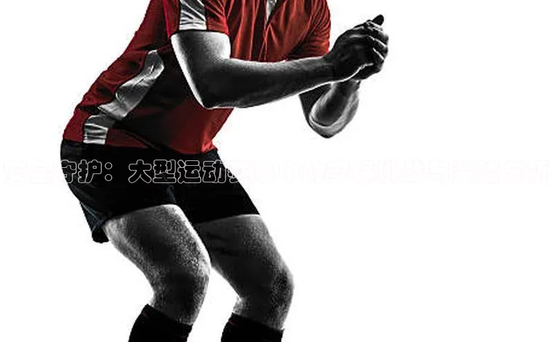 安全守护：大型运动赛事中的安保挑战与策略分析