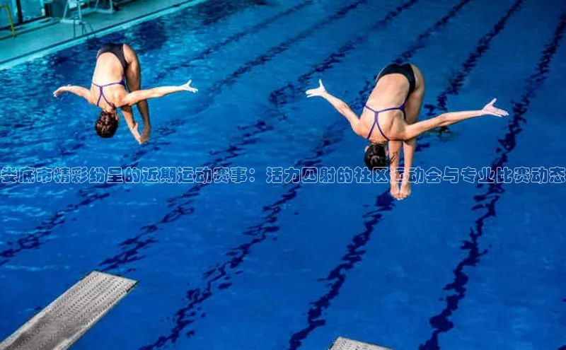 娄底市精彩纷呈的近期运动赛事：活力四射的社区运动会与专业比赛动态