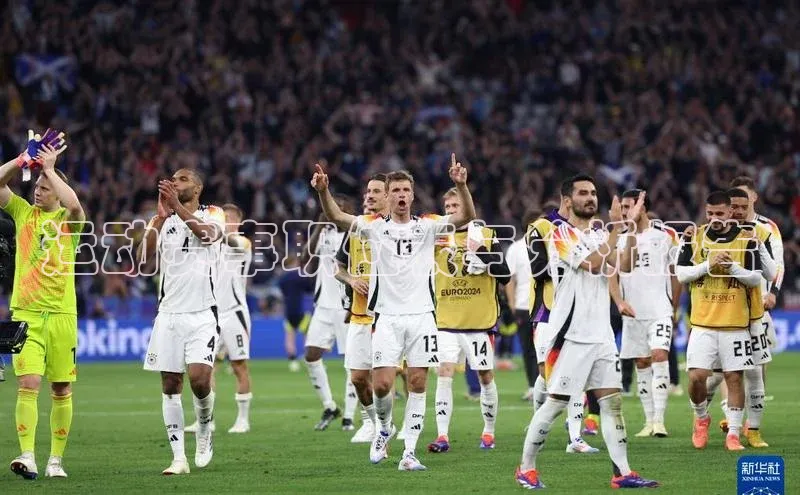 运动赛事职位表与分析报告