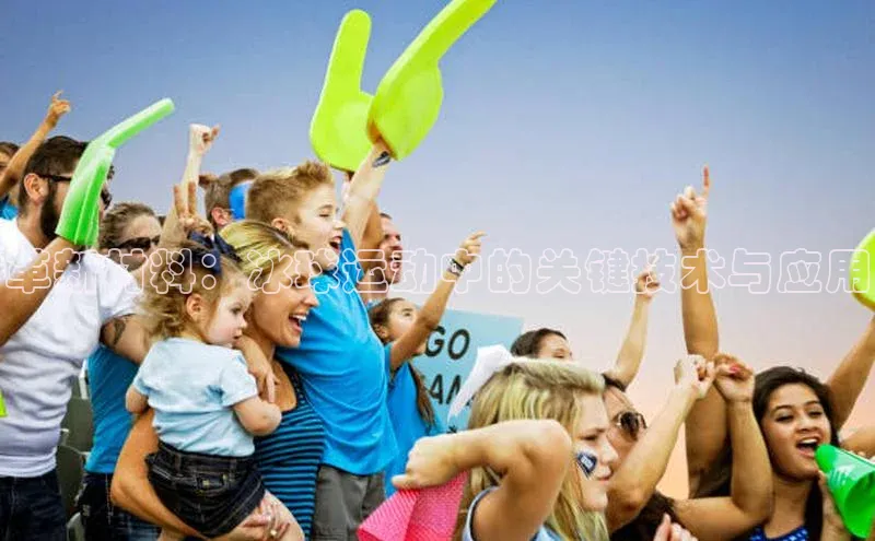 革新材料：冰球运动中的关键技术与应用