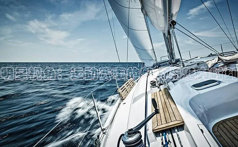 明星视角：运动赛事的魅力与魅力时刻