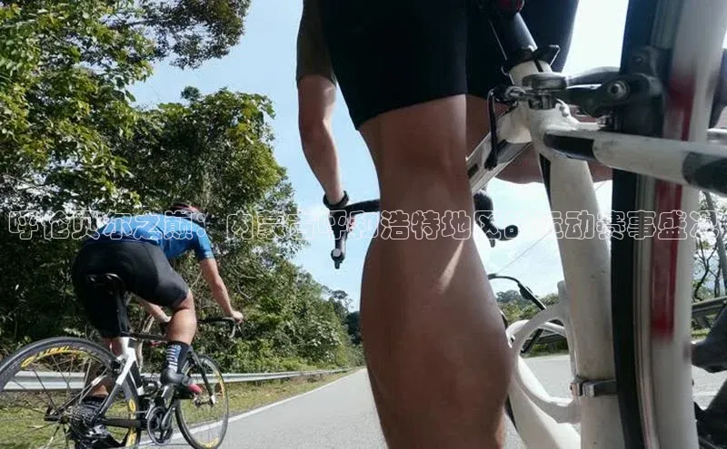 呼伦贝尔之巅：内蒙古呼和浩特地区的运动赛事盛况