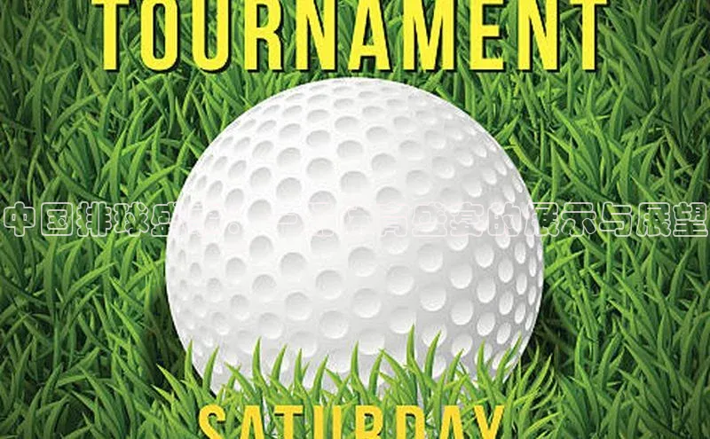 中国排球盛事：一场体育盛宴的展示与展望