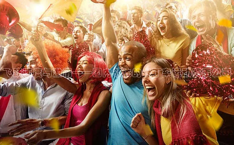 飞跃速度与激情——国内领先的卡丁车运动赛事公司