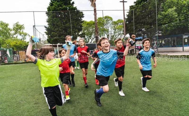 全球视野下的冰雪运动盛事：一场跨越地理与文化的运动盛宴